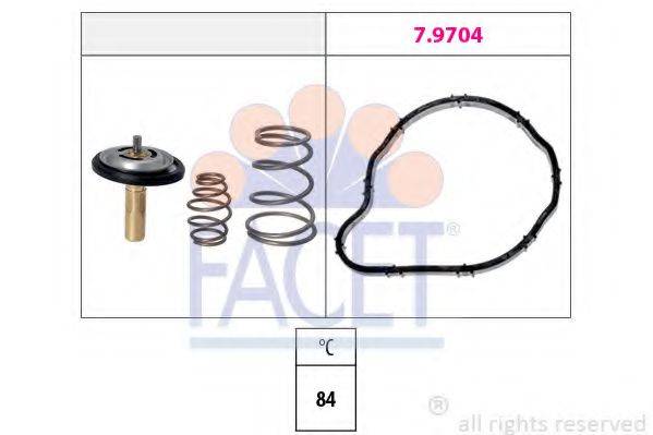 Термостат, що охолоджує рідину FACET 7.8841