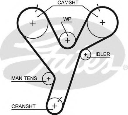 Ремінь ГРМ GATES 5446XS