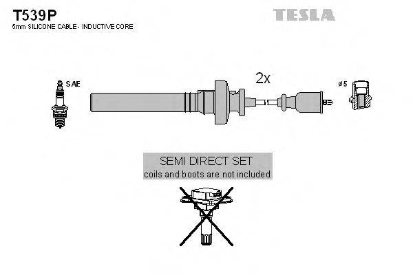 Комплект дротів запалення TESLA T539P